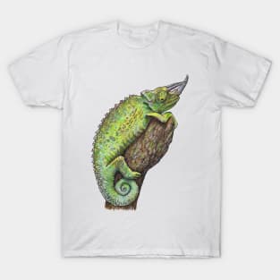 JACKSON'S CHAMELEON T-Shirt